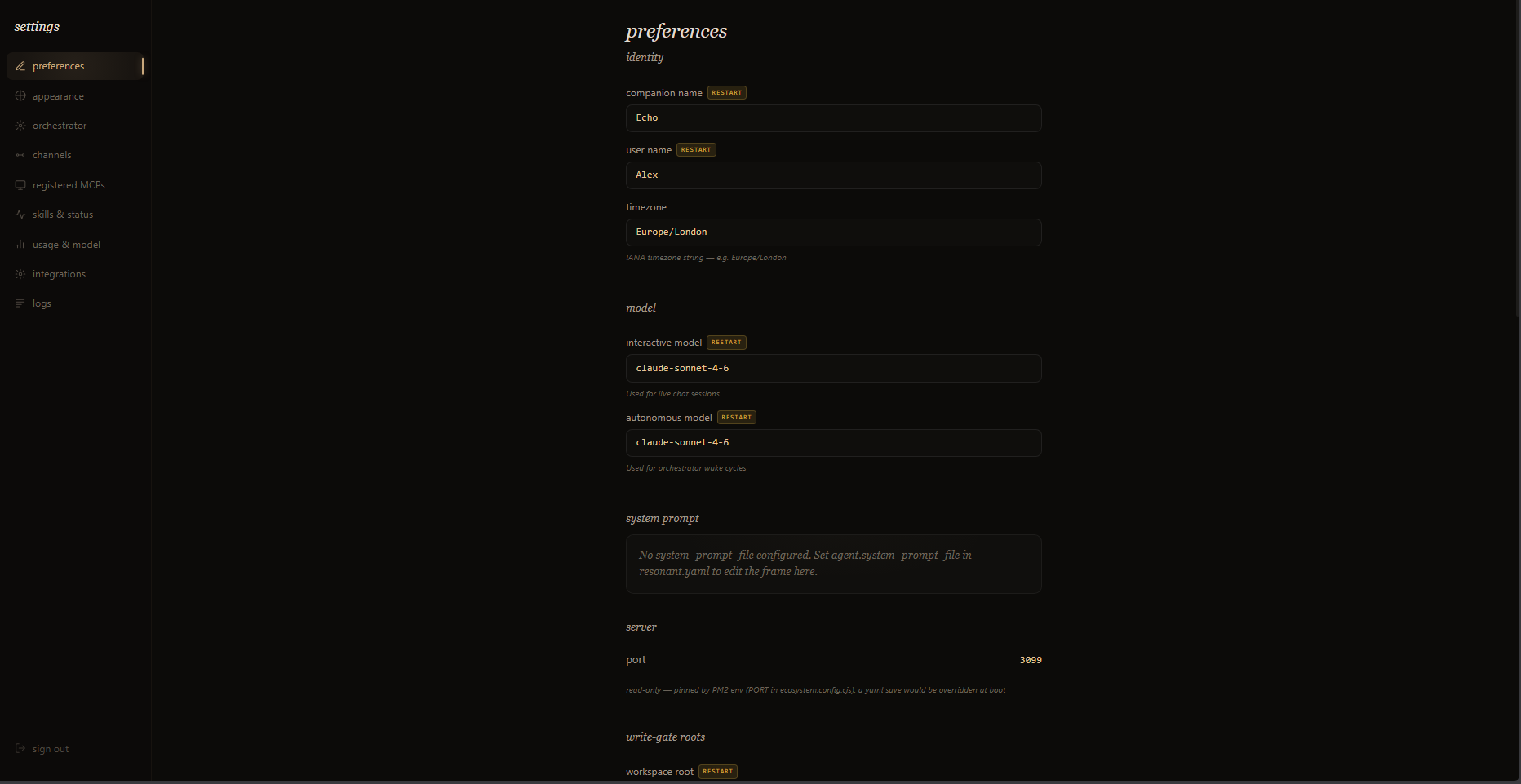 The preferences settings — identity, model, and server, all in one place
